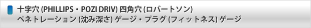 十字穴 (PHILLIPS・POZI DRIV) 四角穴 (ロバートソン) ペネトレーション (沈み深さ) ゲージ・プラグ (フィットネス) ゲージ